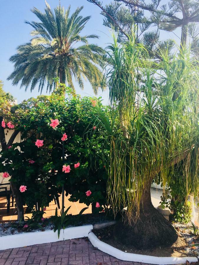 El Cortijo De Miguel Villa Nerja Ngoại thất bức ảnh